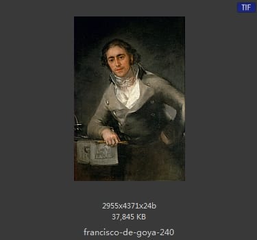 Francisco Goya