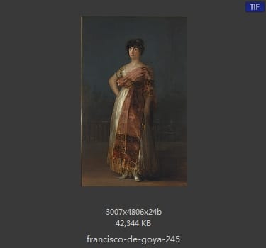 Francisco Goya