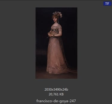 Francisco Goya