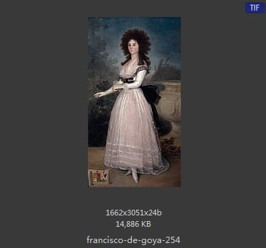 Francisco Goya