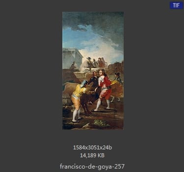 Francisco Goya