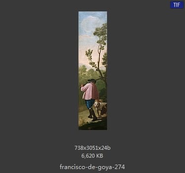 Francisco Goya