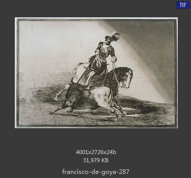 Francisco Goya