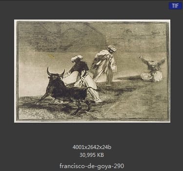 Francisco Goya
