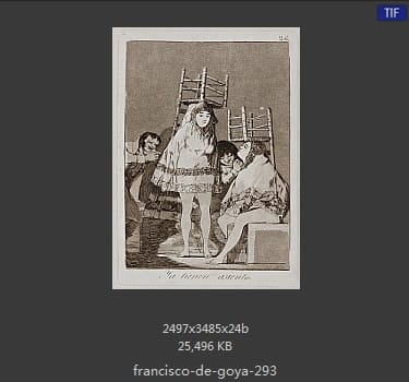 Francisco Goya