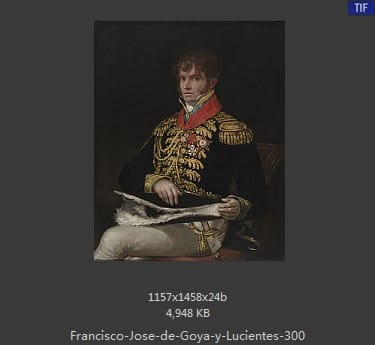Francisco Goya