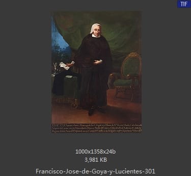 Francisco Goya