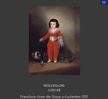 Francisco Goya