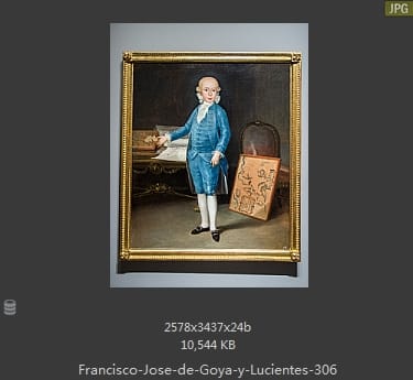 Francisco Goya