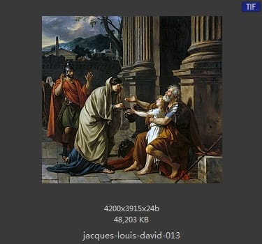 Jacques-Louis David