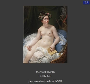 Jacques-Louis David