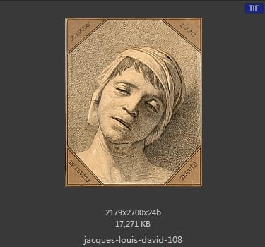 Jacques-Louis David
