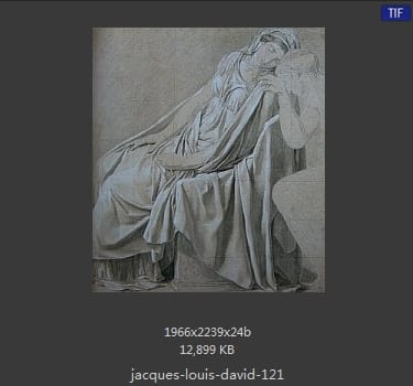Jacques-Louis David