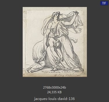 Jacques-Louis David