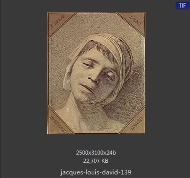 Jacques-Louis David