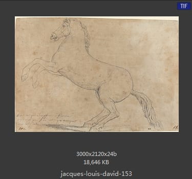 Jacques-Louis David