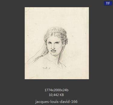 Jacques-Louis David