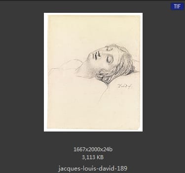 Jacques-Louis David