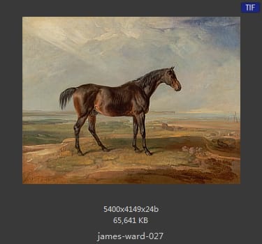 James Ward