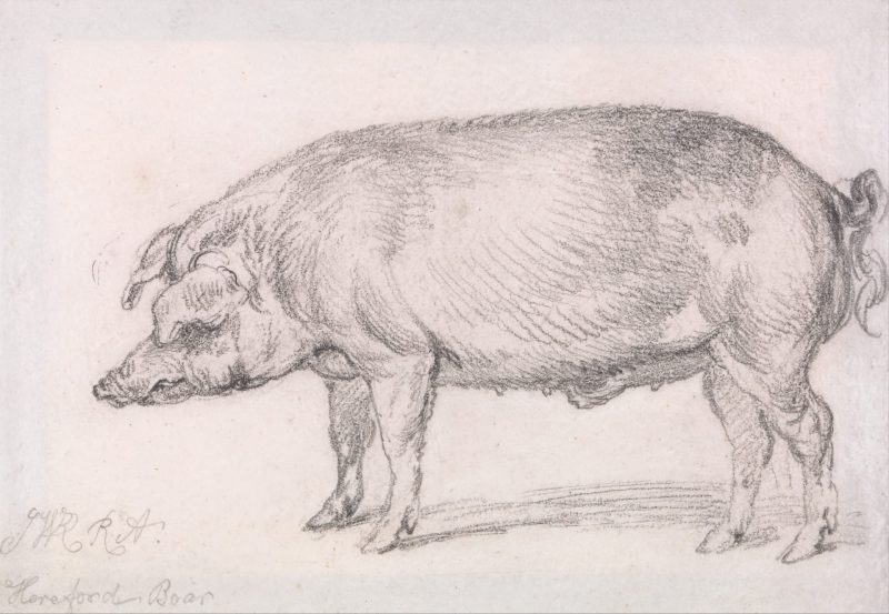 詹姆斯·沃德 #59