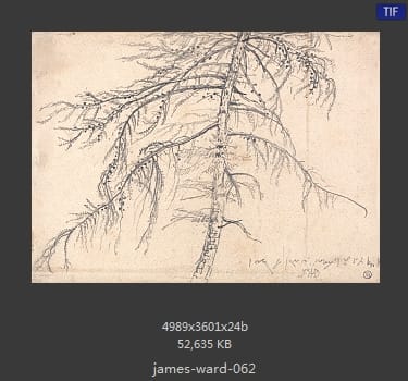 James Ward