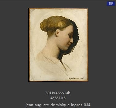 Jean Auguste Dominique Ingres