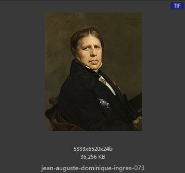 Jean Auguste Dominique Ingres
