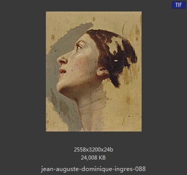 Jean Auguste Dominique Ingres
