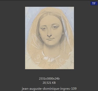 Jean Auguste Dominique Ingres