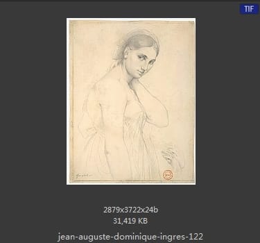 Jean Auguste Dominique Ingres