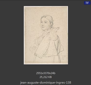 Jean Auguste Dominique Ingres