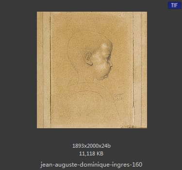 Jean Auguste Dominique Ingres