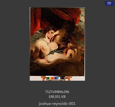 Joshua Reynolds