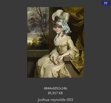 Joshua Reynolds