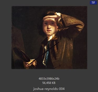Joshua Reynolds