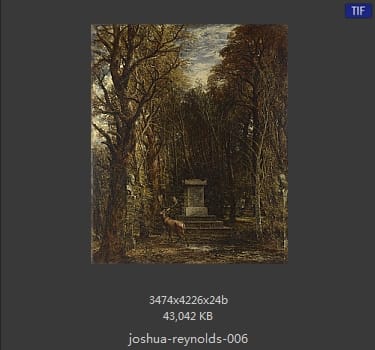 Joshua Reynolds