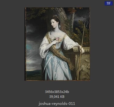 Joshua Reynolds