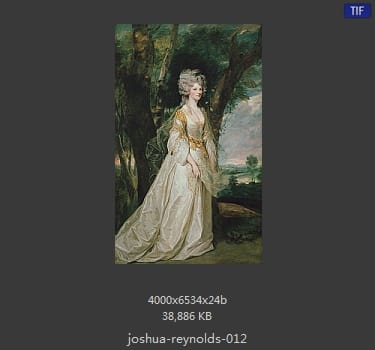 Joshua Reynolds