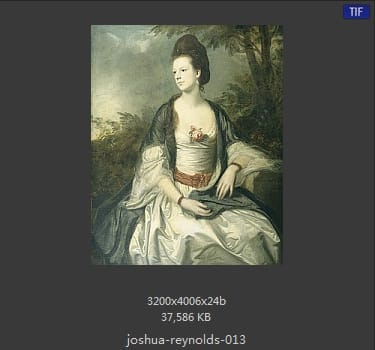 Joshua Reynolds