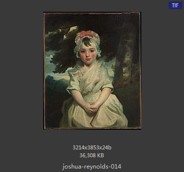 Joshua Reynolds