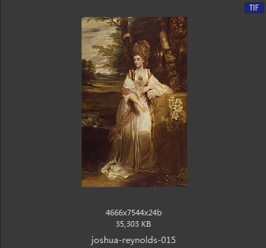 Joshua Reynolds