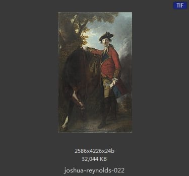 Joshua Reynolds
