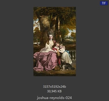 Joshua Reynolds