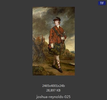 Joshua Reynolds