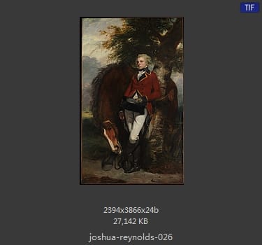 Joshua Reynolds