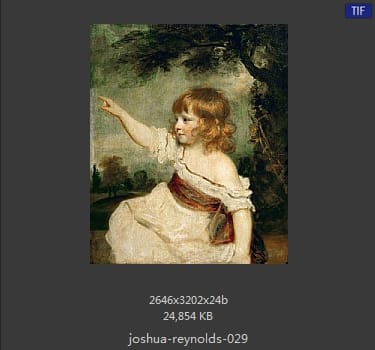 Joshua Reynolds