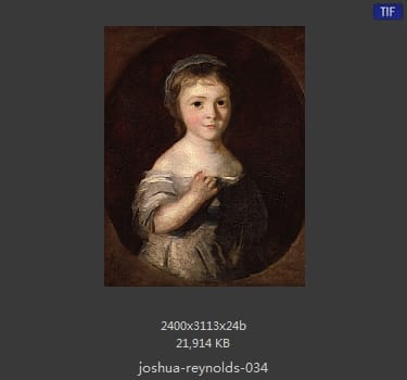 Joshua Reynolds