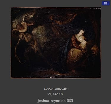 Joshua Reynolds