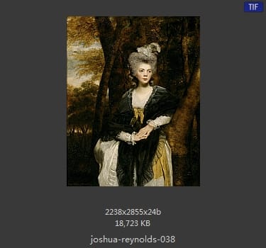 Joshua Reynolds