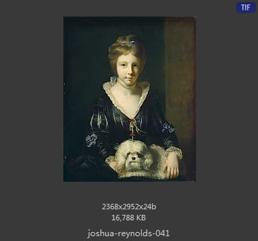 Joshua Reynolds
